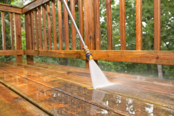 Best Exterior Home Cleaning  in Big Rapids, MI