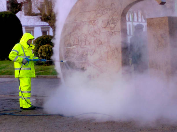Best Residential Pressure Washing Services  in Big Rapids, MI