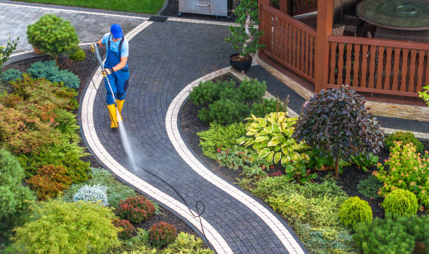 Best Sidewalk Pressure Washing  in Big Rapids, MI