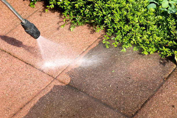 Best Affordable Pressure Washing  in Big Rapids, MI